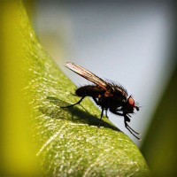 /album/prosarevsub/photolia-a04-jpg/