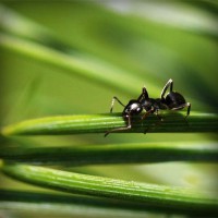 /album/prosarevsub/photolia-a05-jpg/