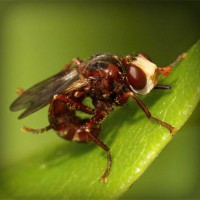 /album/prosarevsub/photolia-a06-jpg/