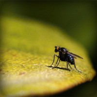 /album/prosarevsub/photolia-a07-jpg/